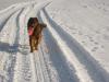IMG 0193 IMG 0193